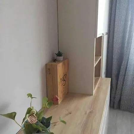 Family- Constanta, La Intrare In Mamaia